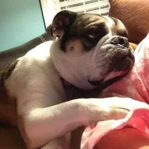 Meet your Posher, Carrie